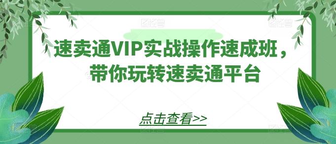 速卖通VIP实战操作速成班，带你玩转速卖通平台-桀创项目掘金社