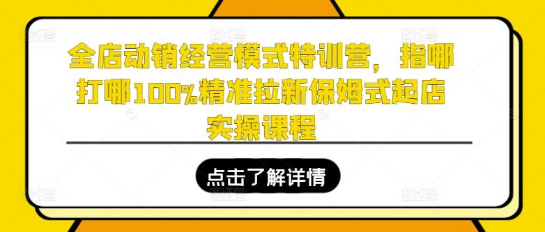 全店动销经营模式特训营，指哪打哪100%精准拉新保姆式起店实操课程-桀创项目掘金社