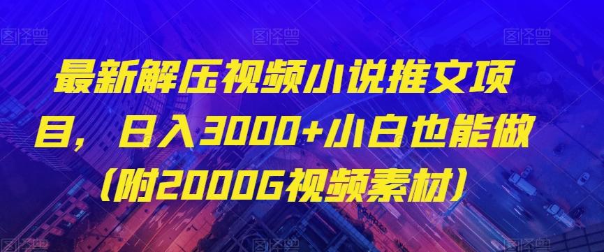 最新解压视频小说推文项目，日入3000+小白也能做（附2000G视频素材）【揭秘】-桀创项目掘金社