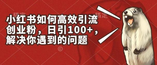 小红书如何高效引流创业粉，日引100+，解决你遇到的问题【揭秘】-桀创项目掘金社