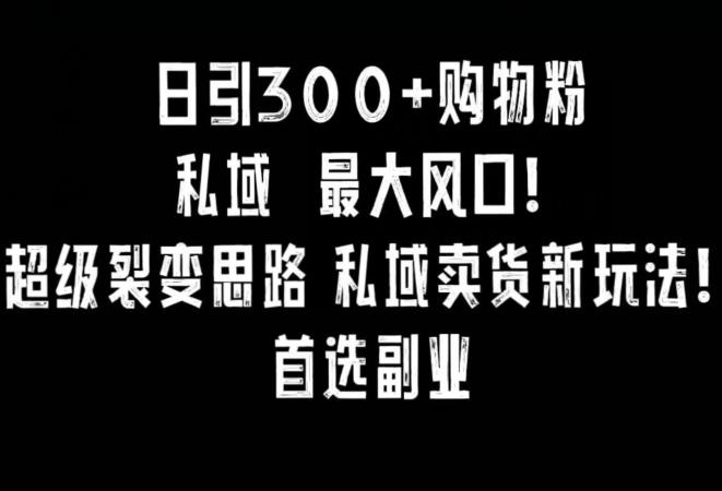 日引300+购物粉，超级裂变思路，私域卖货新玩法，小红书首选副业【揭秘】-桀创项目掘金社