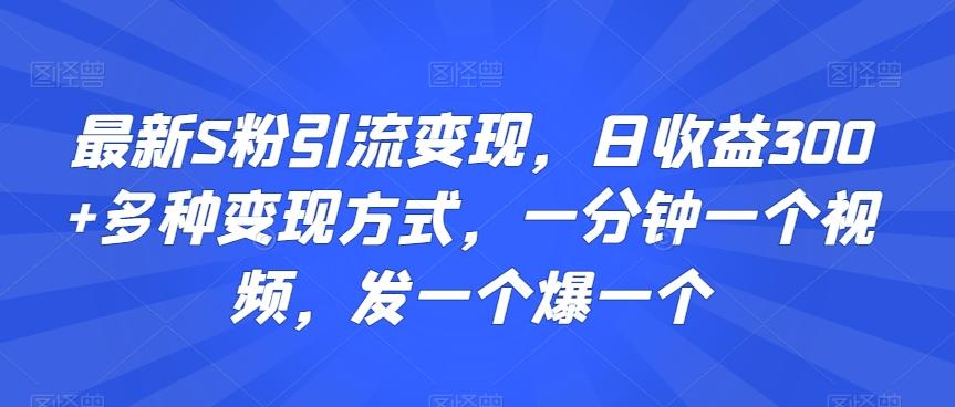 最新S粉引流变现，日收益300+多种变现方式，一分钟一个视频，发一个爆一个【揭秘】-桀创项目掘金社