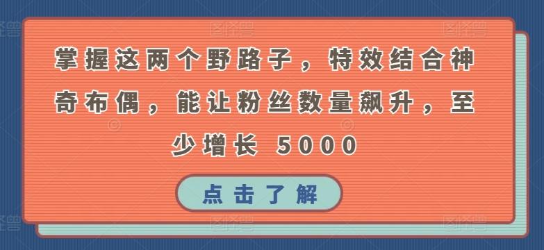 掌握这两个野路子，特效结合神奇布偶，能让粉丝数量飙升，至少增长 5000【揭秘】-桀创项目掘金社