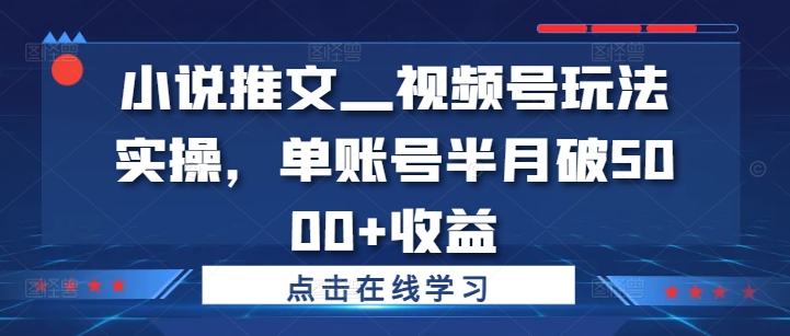 小说推文—视频号玩法实操，单账号半月破5000+收益-桀创项目掘金社