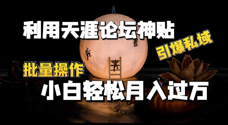 利用天涯论坛神贴，引爆私域，批量操作，小白轻松月入过w【揭秘】-桀创项目掘金社