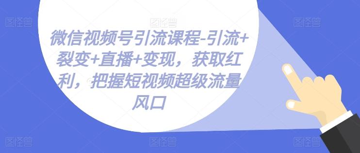 微信视频号引流课程-引流+裂变+直播+变现，获取红利，把握短视频超级流量风口-桀创项目掘金社