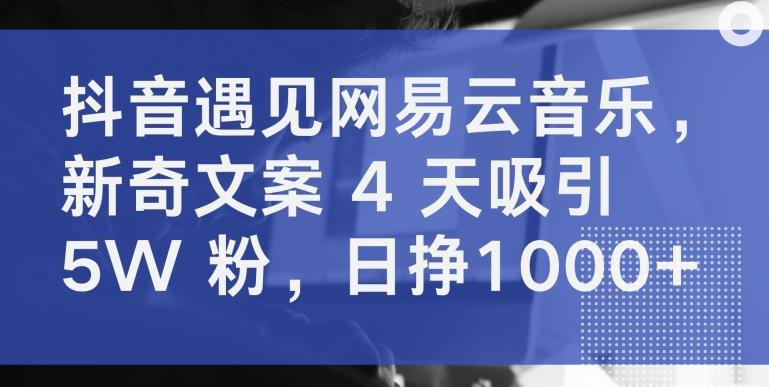 抖音遇见网易云音乐，新奇文案 4 天吸引 5W 粉，日挣1000+【揭秘】-桀创项目掘金社