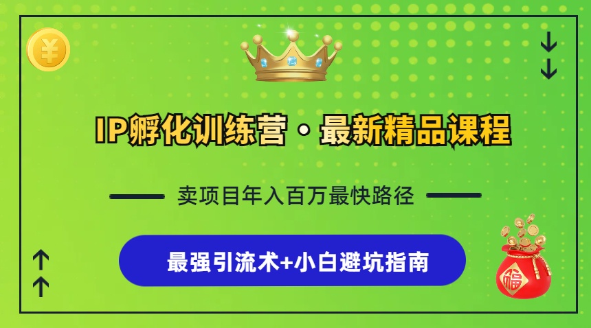 IP孵化训练营，知识付费全流程+最强引流术+小白避坑指南-桀创项目掘金社