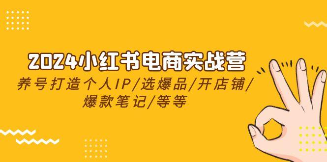 2024小红书电商实战营，养号打造IP/选爆品/开店铺/爆款笔记/等等(24节)-桀创项目掘金社