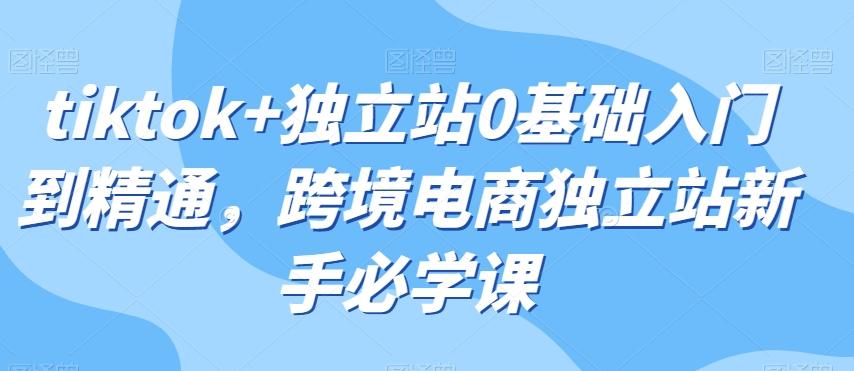 tiktok+独立站0基础入门到精通，跨境电商独立站新手必学课-桀创项目掘金社