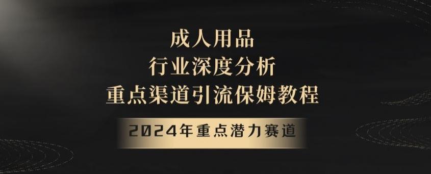 2024年重点潜力赛道，成人用品行业深度分析，重点渠道引流保姆教程【揭秘】-桀创项目掘金社