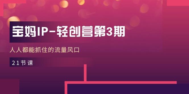 宝妈IP-轻创营第3期，人人都能抓住的流量风口(21节课-桀创项目掘金社