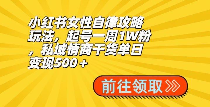 小红书女性自律攻略玩法，起号一周1W粉，私域情商干货单日变现500＋-桀创项目掘金社