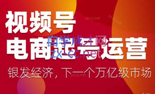 陈大黑牛·视频号电商起号运营课(更新到24年5月)-桀创项目掘金社