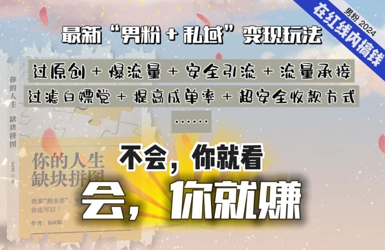 2024，“男粉+私域”还是最耐造、最赚、最轻松、最愉快的变现方式【揭秘】-桀创项目掘金社
