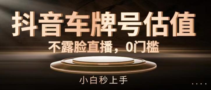 抖音车牌号估值，不露脸直播，0门槛，小白秒上手【揭秘】-桀创项目掘金社