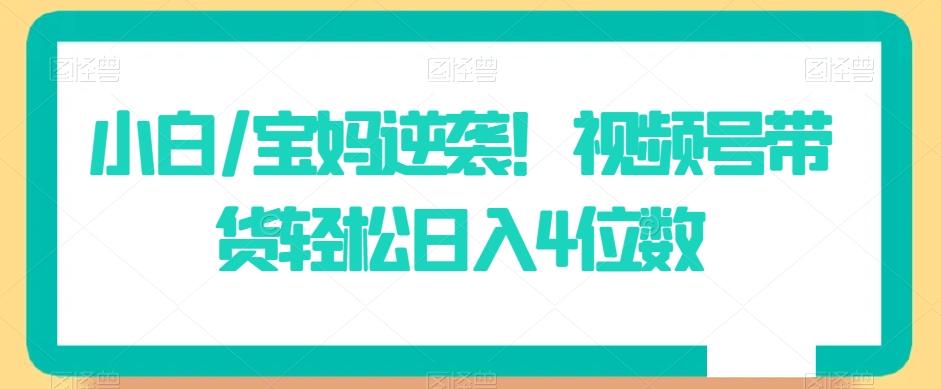 小白/宝妈逆袭！视频号带货轻松日入4位数【揭秘】-桀创项目掘金社