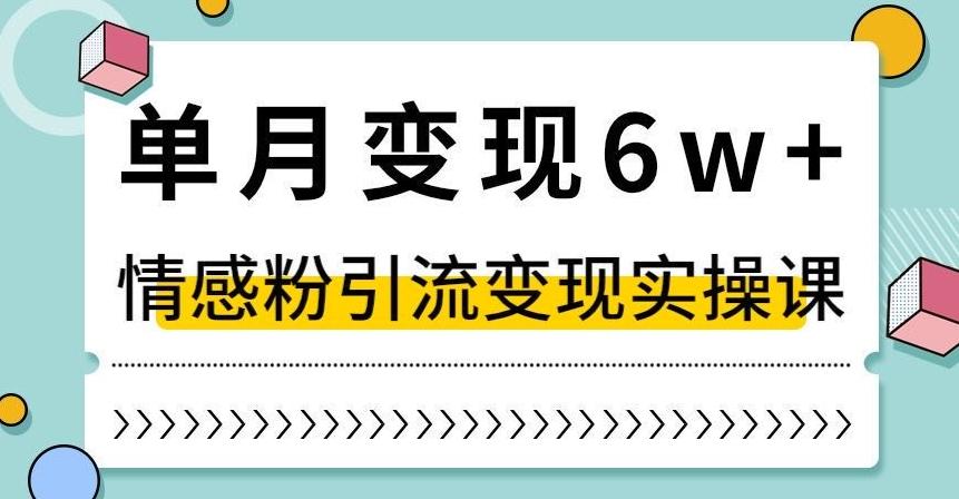 单月变现6W+，抖音情感粉引流变现实操课，小白可做，轻松上手，独家赛道【揭秘】-桀创项目掘金社