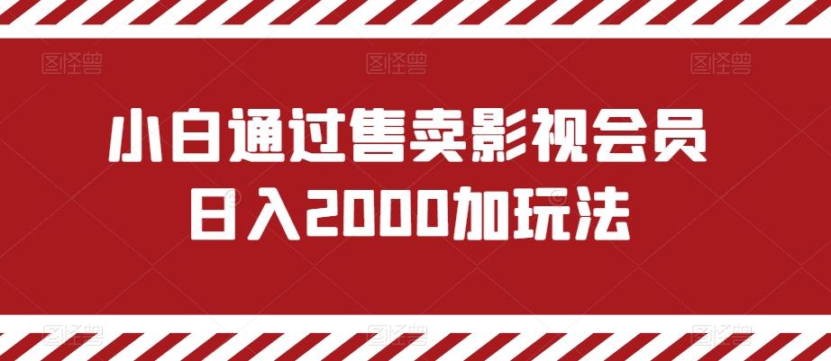 小白通过售卖影视会员日入2000加玩法-桀创项目掘金社