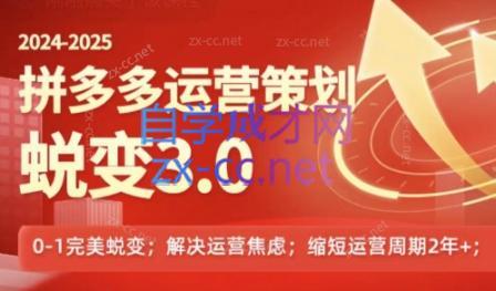 大力老师·2024拼多多运营策略蜕变3.0-桀创项目掘金社