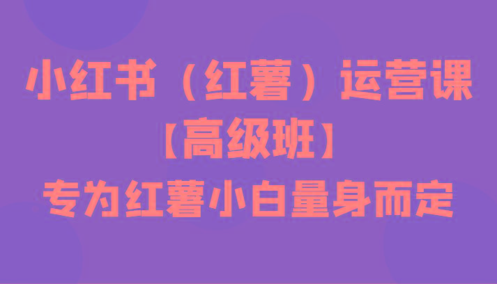 小红书(红薯)运营课【高级班】，专为红薯小白量身而定(42节课)-桀创项目掘金社