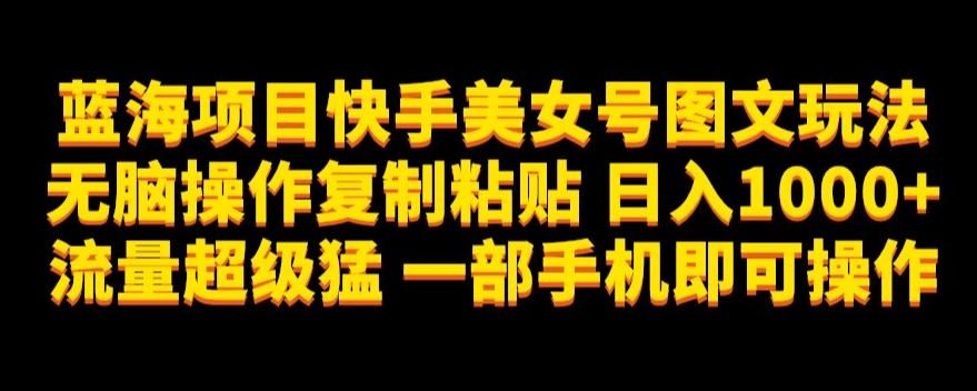 蓝海项目快手美女号图文玩法，无脑操作复制粘贴，日入1000+流量超级猛一部手机即可操作【揭秘】-桀创项目掘金社