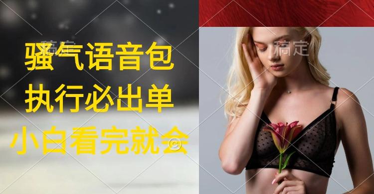 (9589期)执行就出单，日入2000+，超火骚气语音包，小白看完课程就能马上实操-桀创项目掘金社