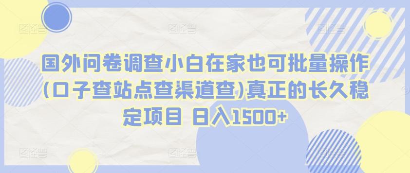 国外问卷调查小白在家也可批量操作(口子查站点查渠道查)真正的长久稳定项目 日入1500+【揭秘】-桀创项目掘金社