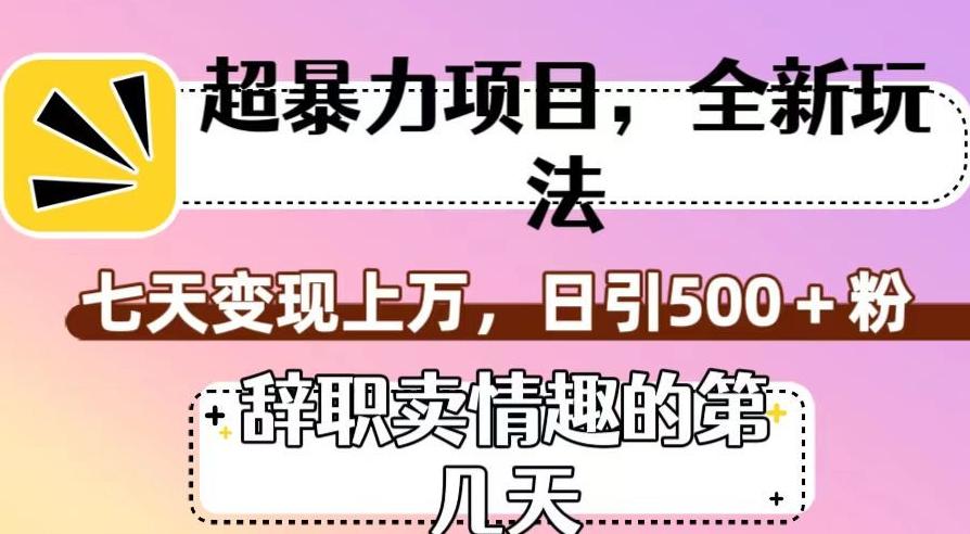 超暴利项目，全新玩法（辞职卖情趣的第几天），七天变现上万，日引500+粉【揭秘】-桀创项目掘金社