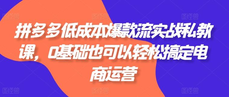 拼多多低成本爆款流实战私教课，0基础也可以轻松搞定电商运营-桀创项目掘金社