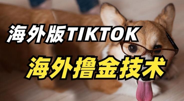 抖音海外版tiktok撸金技术，这个风口行业，赚钱真的不难【揭秘】-桀创项目掘金社