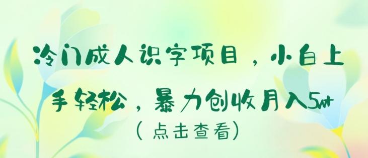 冷门成人识字项目，小白上手轻松，暴力创收月入5w+【揭秘】-桀创项目掘金社