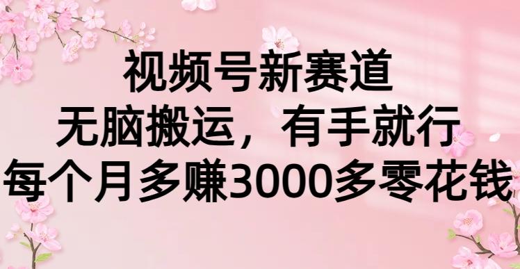 (9278期)视频号新赛道，无脑搬运，有手就行，每个月多赚3000多零花钱-桀创项目掘金社