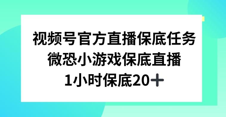 视频号直播任务，微恐小游戏，1小时20+【揭秘】-桀创项目掘金社