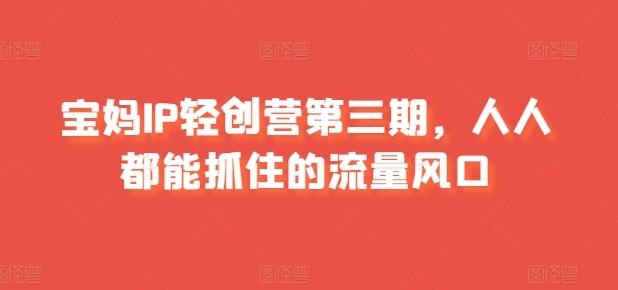 宝妈IP轻创营第三期，人人都能抓住的流量风口-桀创项目掘金社