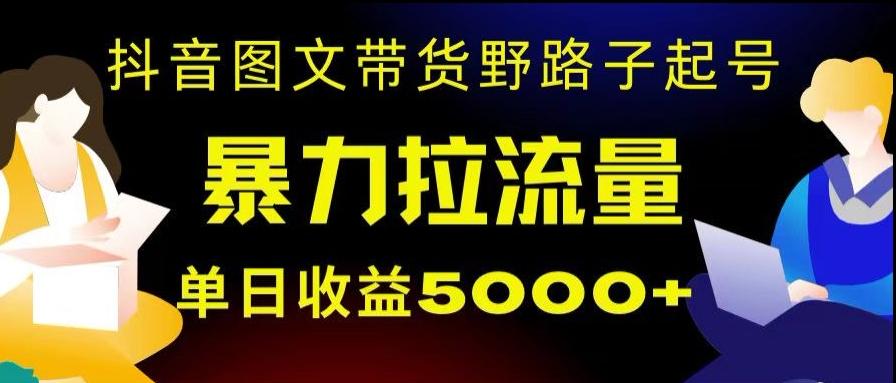 抖音图文带货暴力起号，单日收益5000+，野路子玩法，简单易上手，一部手机即可【揭秘】-桀创项目掘金社