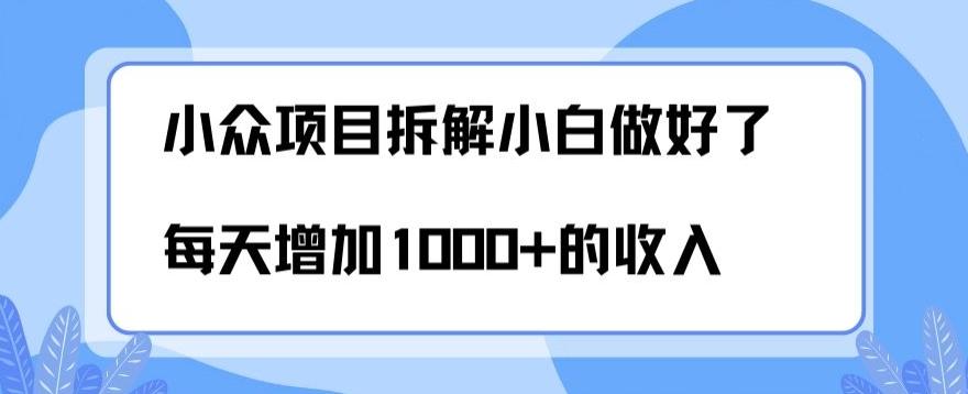 小众项目拆解，小白做好了每天可增加1000多的收入-桀创项目掘金社