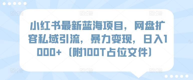 小红书最新蓝海项目，网盘扩容私域引流，暴力变现，日入1000+(附100T占位文件)【揭秘】-桀创项目掘金社