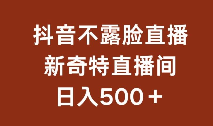 不露脸挂机直播，新奇特直播间，日入500+【揭秘】-桀创项目掘金社