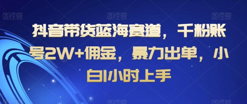 抖音带货蓝海赛道，千粉账号2W+佣金，暴力出单，小白1小时上手【揭秘】-桀创项目掘金社