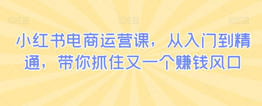 小红书电商运营课，从入门到精通，带你抓住又一个赚钱风口-桀创项目掘金社