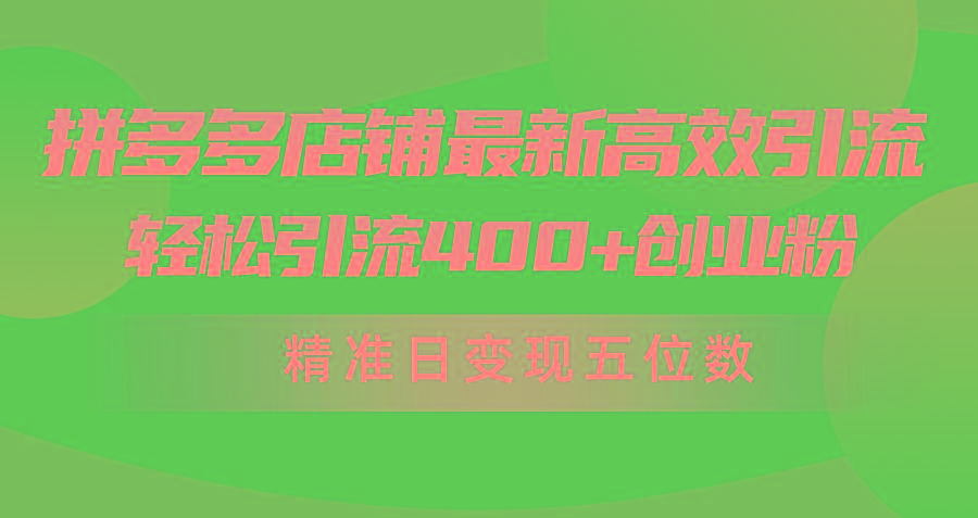 (10041期)拼多多店铺最新高效引流术，轻松引流400+创业粉，精准日变现五位数！-桀创项目掘金社