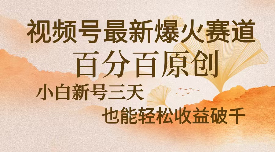 视频号最新爆火赛道，中老年粉深信不疑，百分百原创，新号三天收益轻松…-桀创项目掘金社