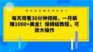 每天观看30分钟视频，一月躺赚1000+美金！保姆级教程，可放大操作【揭秘】-桀创项目掘金社