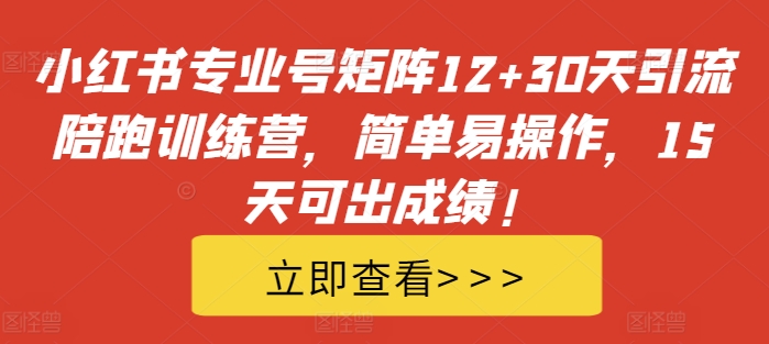 小红书专业号矩阵12+30天引流陪跑训练营，简单易操作，15天可出成绩!-桀创项目掘金社