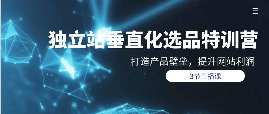 (9925期)独立站-垂直化选品训练营，打造产品壁垒，提升网站利润(3节直播课)-桀创项目掘金社