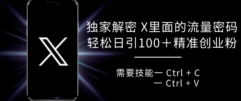 独家解密 X 里面的流量密码，复制粘贴轻松日引100+-桀创项目掘金社