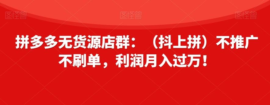 拼多多无货源店群：（抖上拼）不推广不刷单，利润月入过万！【揭秘】-桀创项目掘金社
