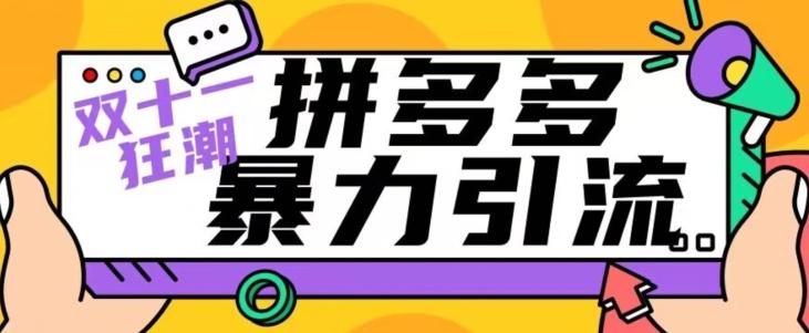 【首发】双十一拼多多暴力引流，日引300+微信-桀创项目掘金社