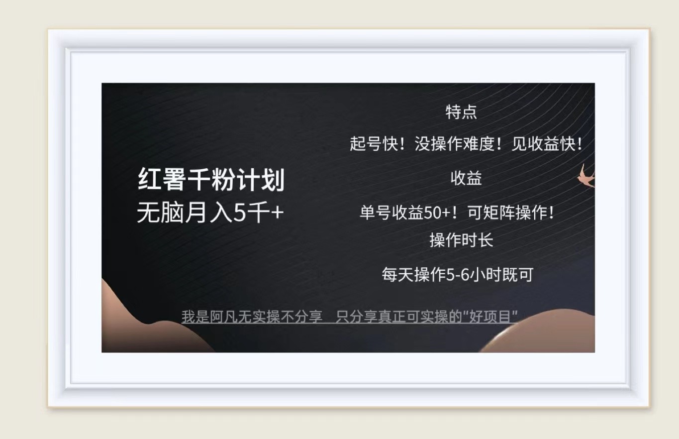红薯千粉计划无脑月入5千+！既做既赚！-桀创项目掘金社